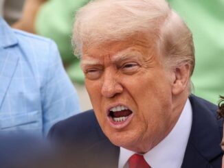 US-Zölle: Regierung attackiert Solar-Branche