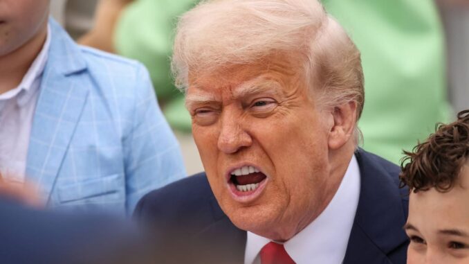 US-Zölle: Regierung attackiert Solar-Branche