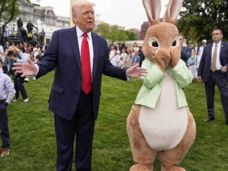 IWF senkt Prognosen - fatale Angst vor Donald Trump